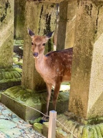 土曜日にはまた体調万全で皆様をお迎え出来るように𓈒𓏸𓐍 𓇢