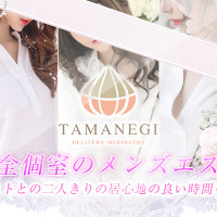 TAMANEGI