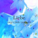 Liebe(リーベ)|四条烏丸-烏丸駅