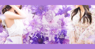 BLEUET×MARIA sonare