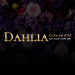 DAHLIA(ダリア)|品川区-五反田駅