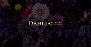 DAHLIA