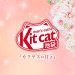 Kitcat(キットキャット)|池袋-池袋駅