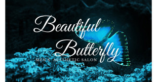 Beautiful Butterfly