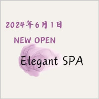 ElegantSPA