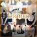 bloom(ブルーム)|西新宿-西新宿駅